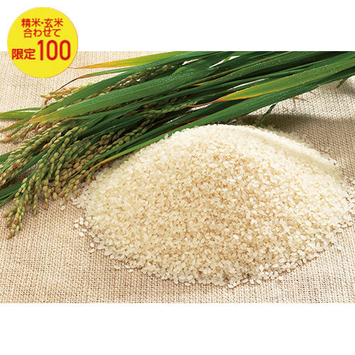 宮川営農組合の米 コシヒカリ5kg袋入 精米 宮川営農組合の米 コシヒカリ5kg袋入 精米